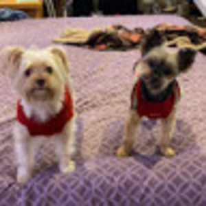 Meet your Posher, Michelle